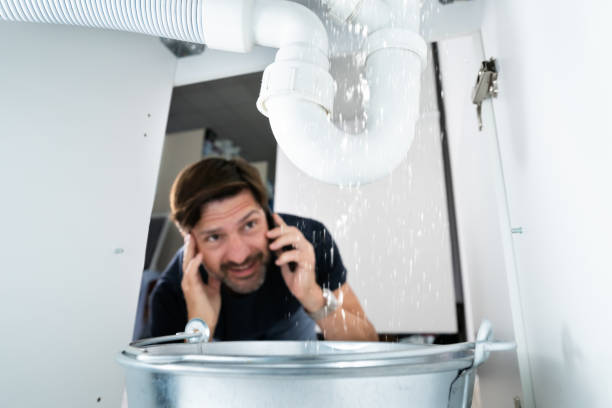 Best Commercial Plumbing Services  in Silver Bay, MN