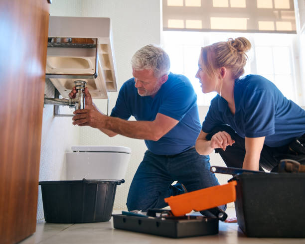 Best Clogged Drain Plumber  in Silver Bay, MN